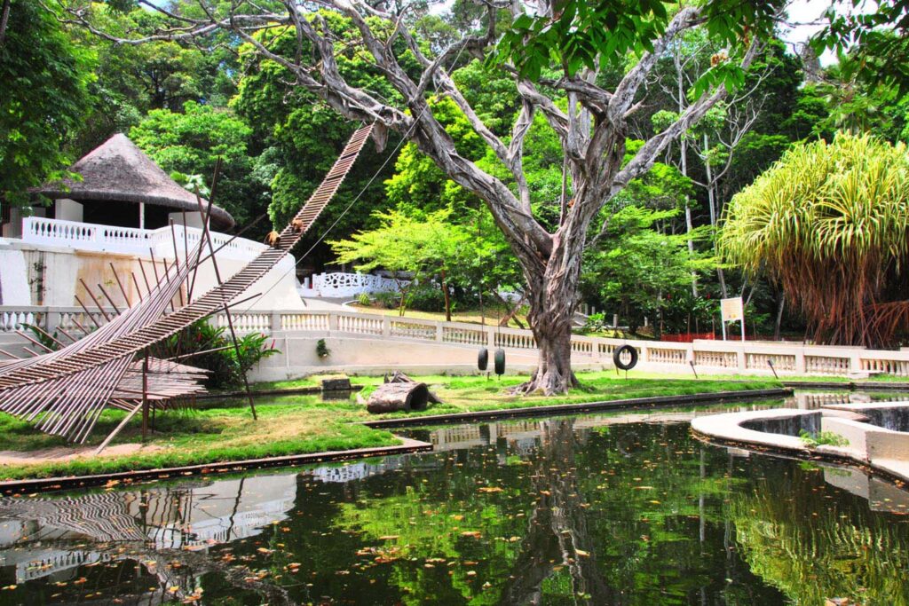 RECINTO SEGUROPolícia descarta falha na Bica após jovem morrer atacado por leoa